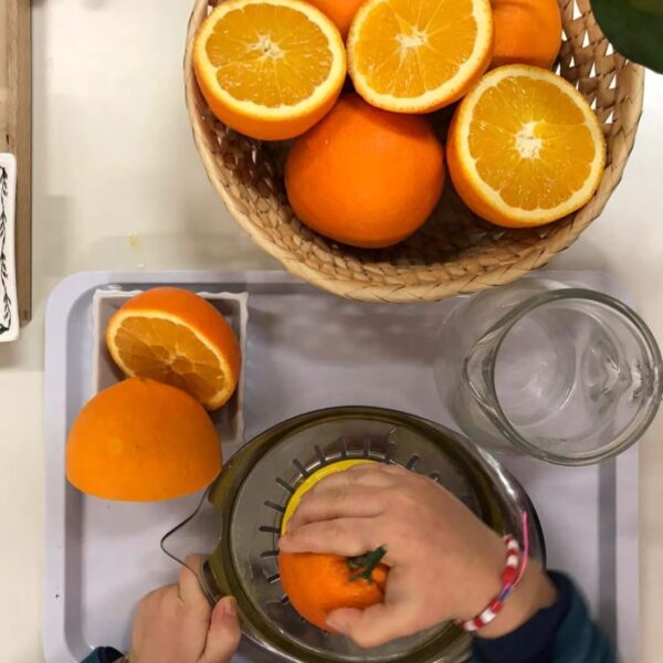 Attività di cucina