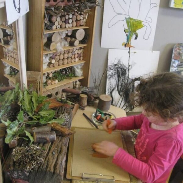 Tavolo del naturalista