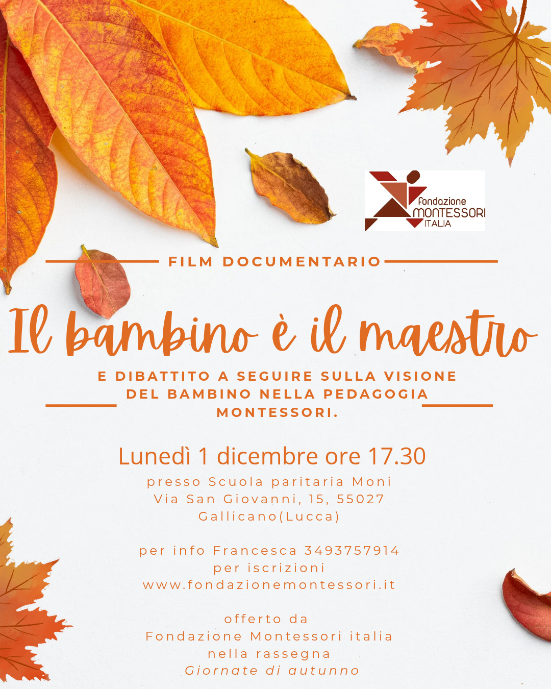 Orange Modern Autumn Sale Instagram Post_20251030_214538_0000 - FRANCESCA MAGGIANETTI
